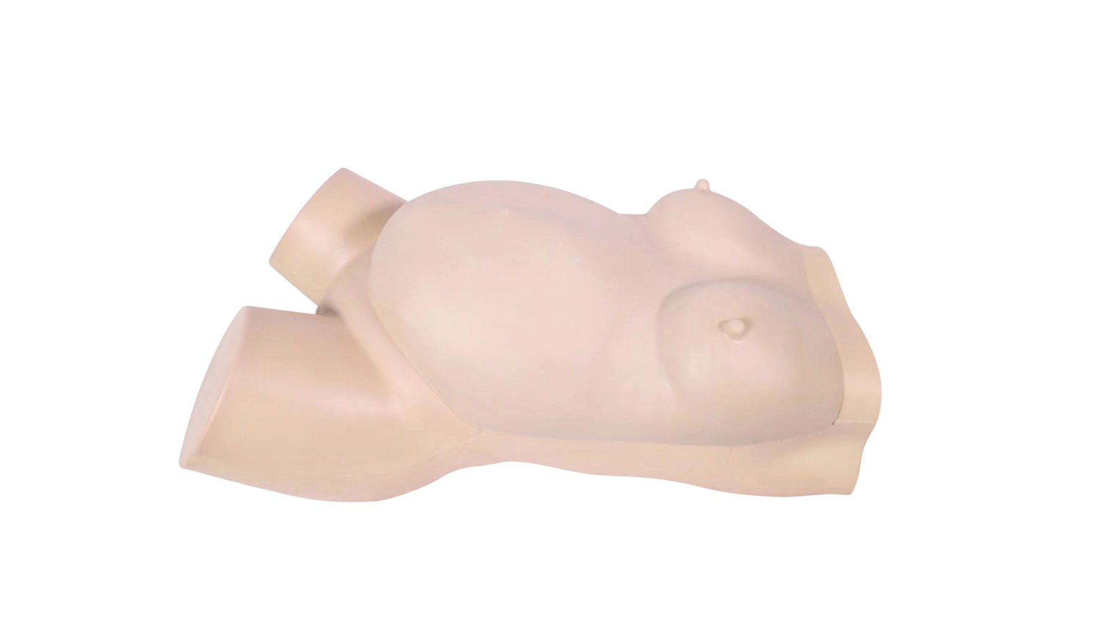 Prenatal Fetal Ultrasound Trainer